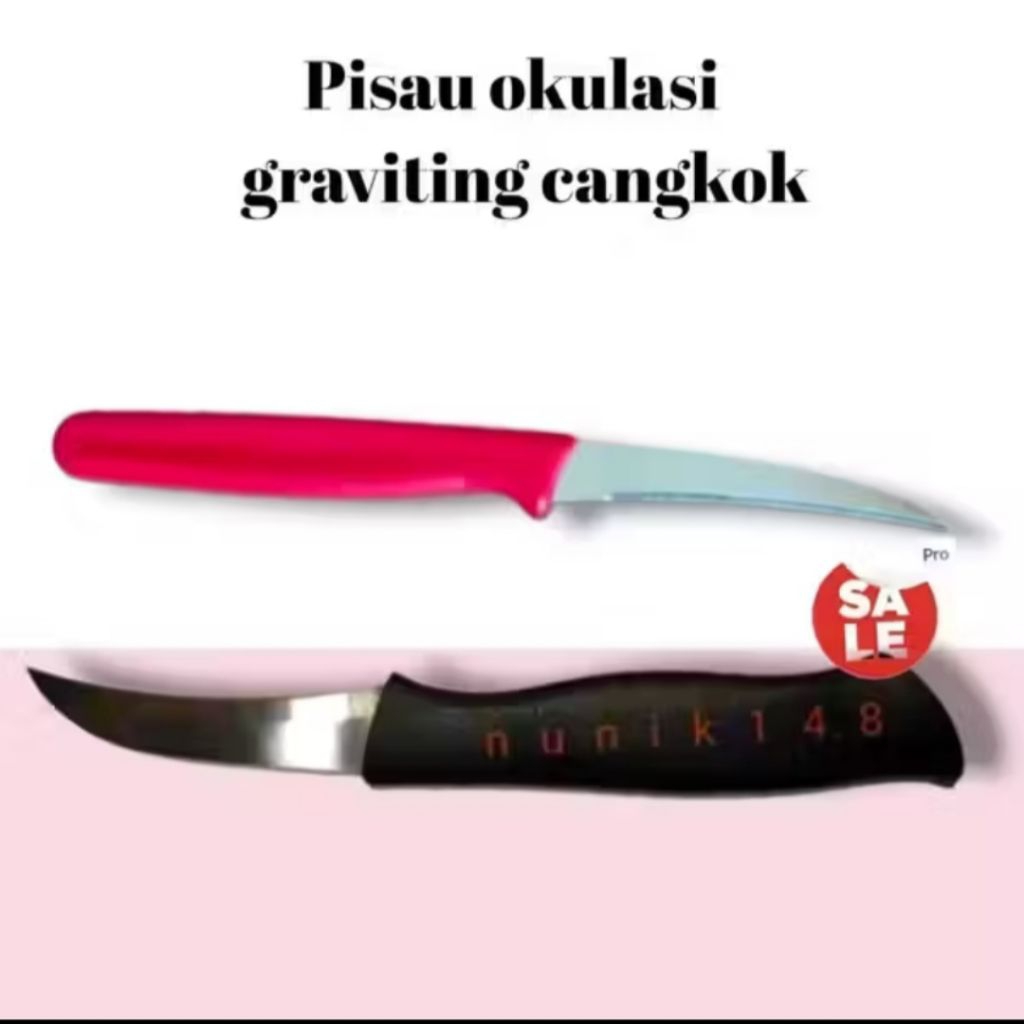 Pisau Okulasi Grafting Cangkok /Tajam anti karat / Pisau Berkebun