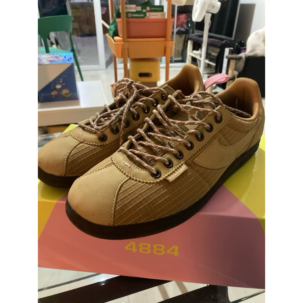 compass tribune 4884 daffari