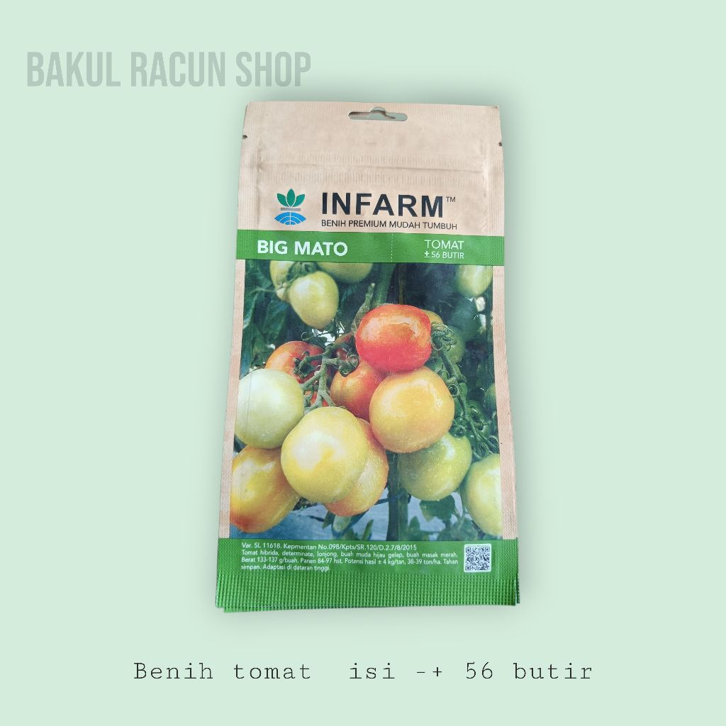 Benih Tomat besar Infarm Termurah