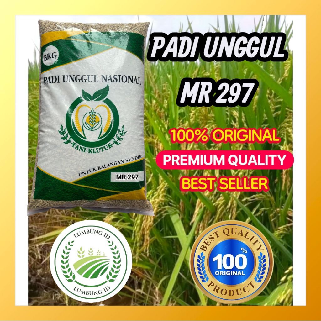 BENIH PADI BIBIT PADI UNGGUL MR 297 ORIGINAL PRODUK KEMASAN 5KG