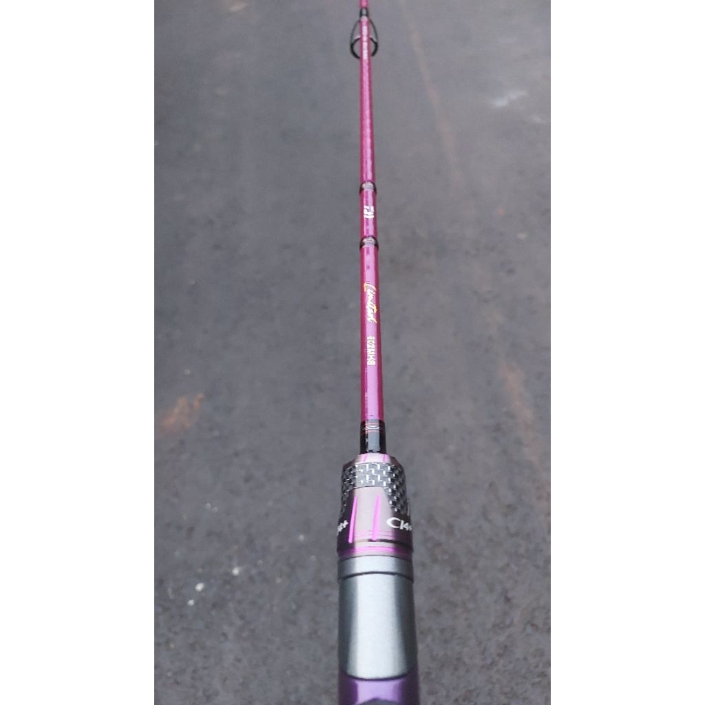 Joran Custom Daiwa Libera TD 602 mhs
