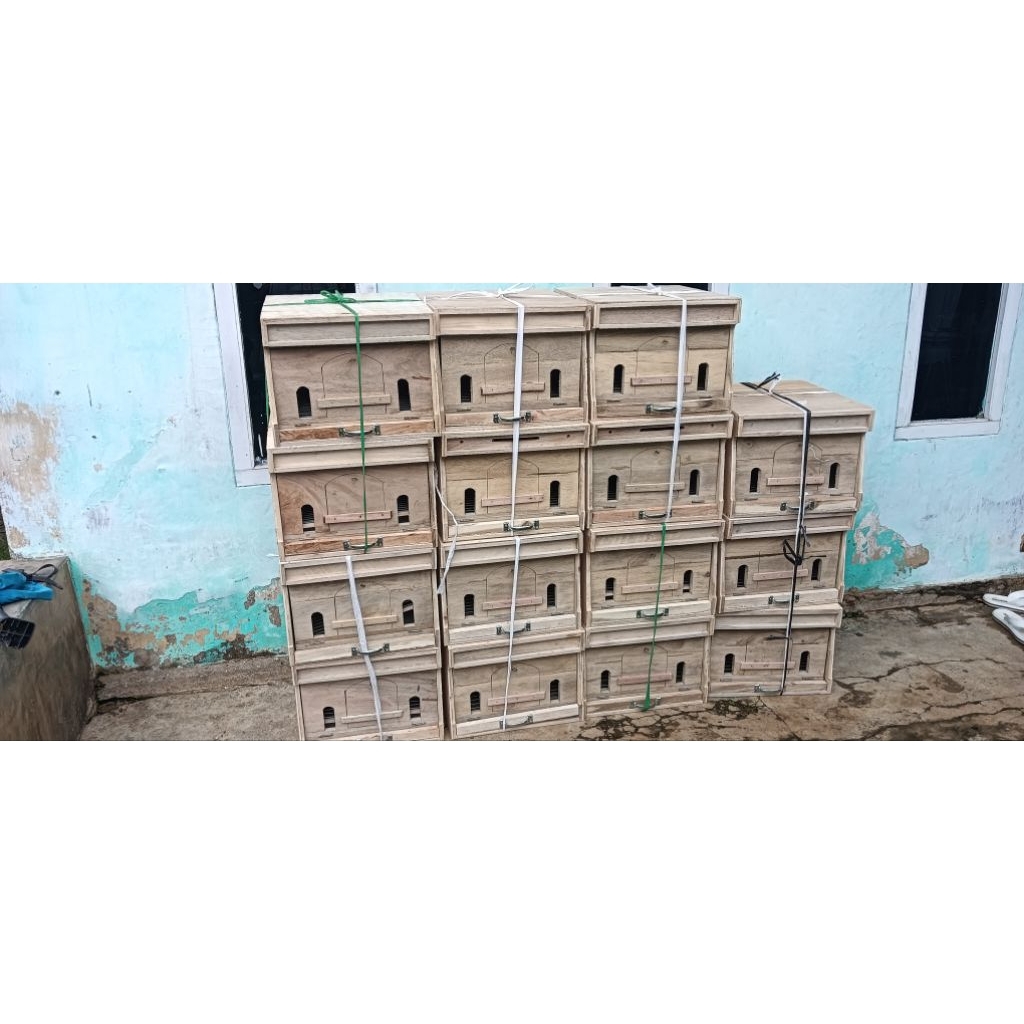 gupon merpati semi papan sangat KOKOH.