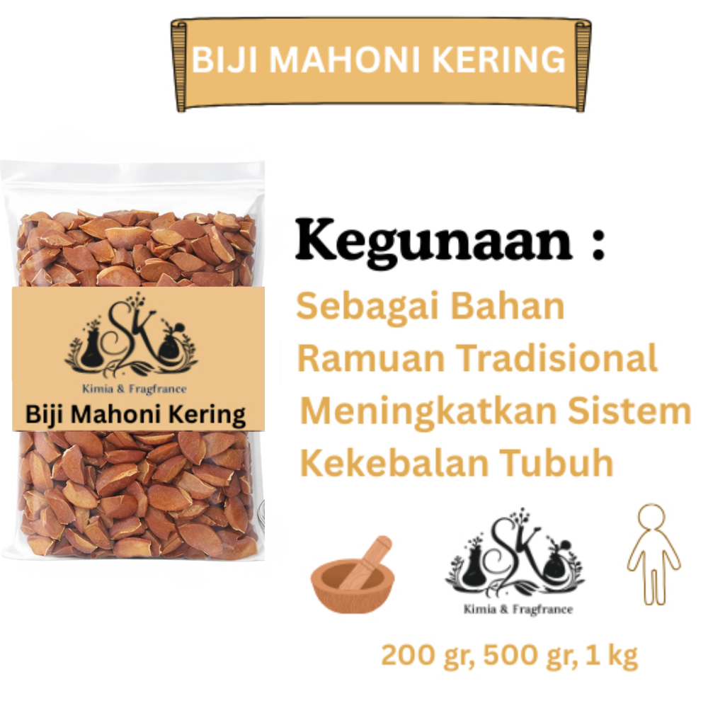 Biji Mahoni Kering / Biji Buah Mahoni Kering
