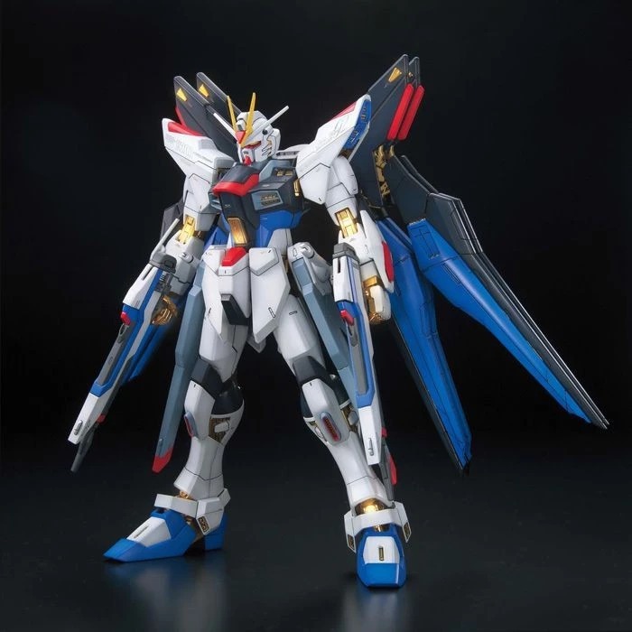 MG Strike Freedom Gundam Full Burst Mode 1/100 Gundam Bandai MG Strike Freedom FBM