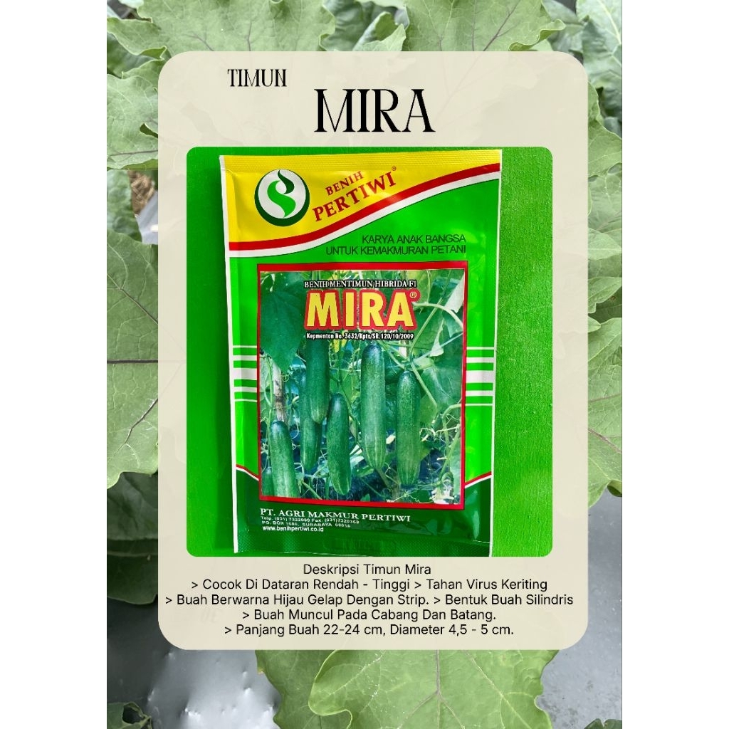 Benih Timun Mira 10gram Benih Pertiwi/Timun Hijau