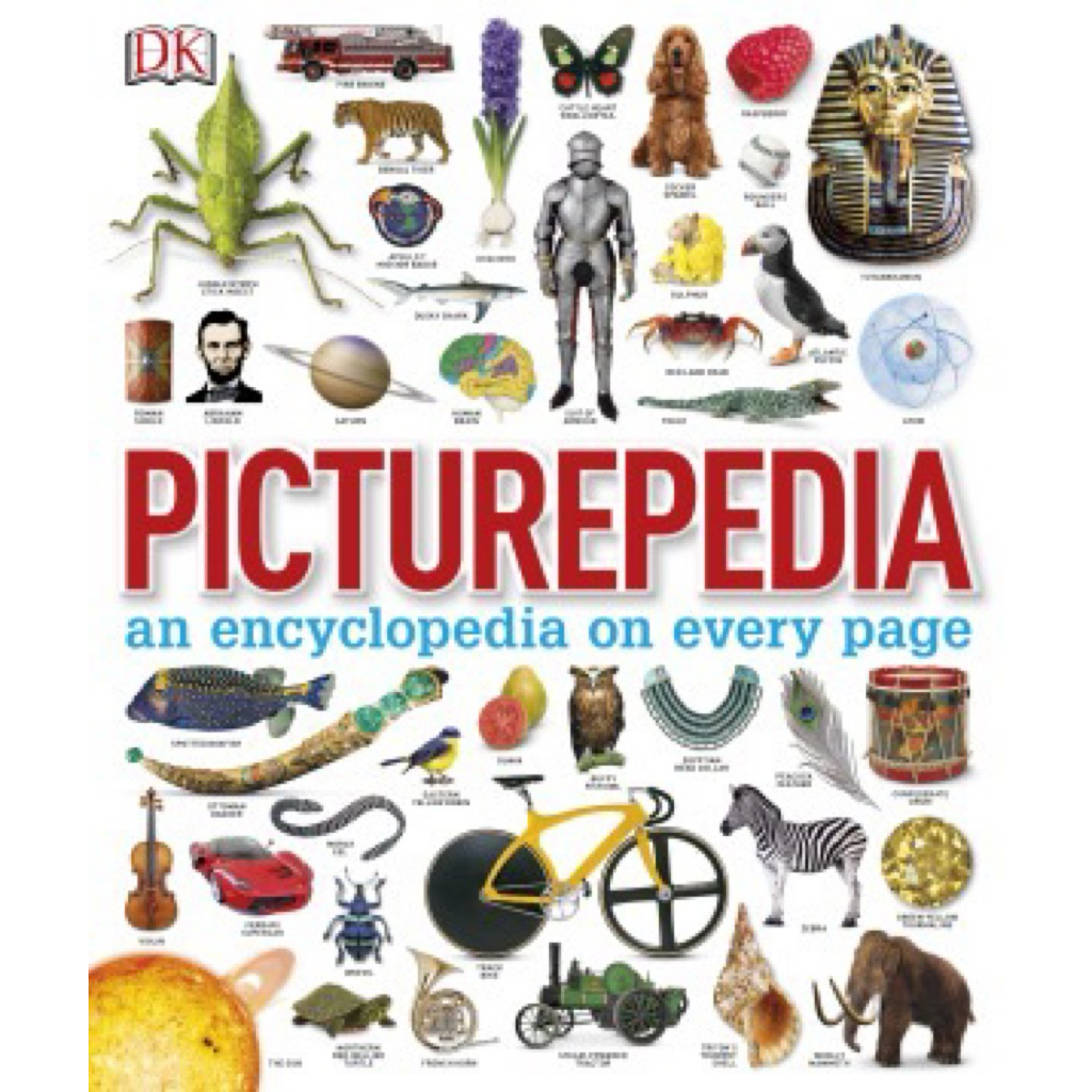 Buku Anak anak Picturepedia Full collor