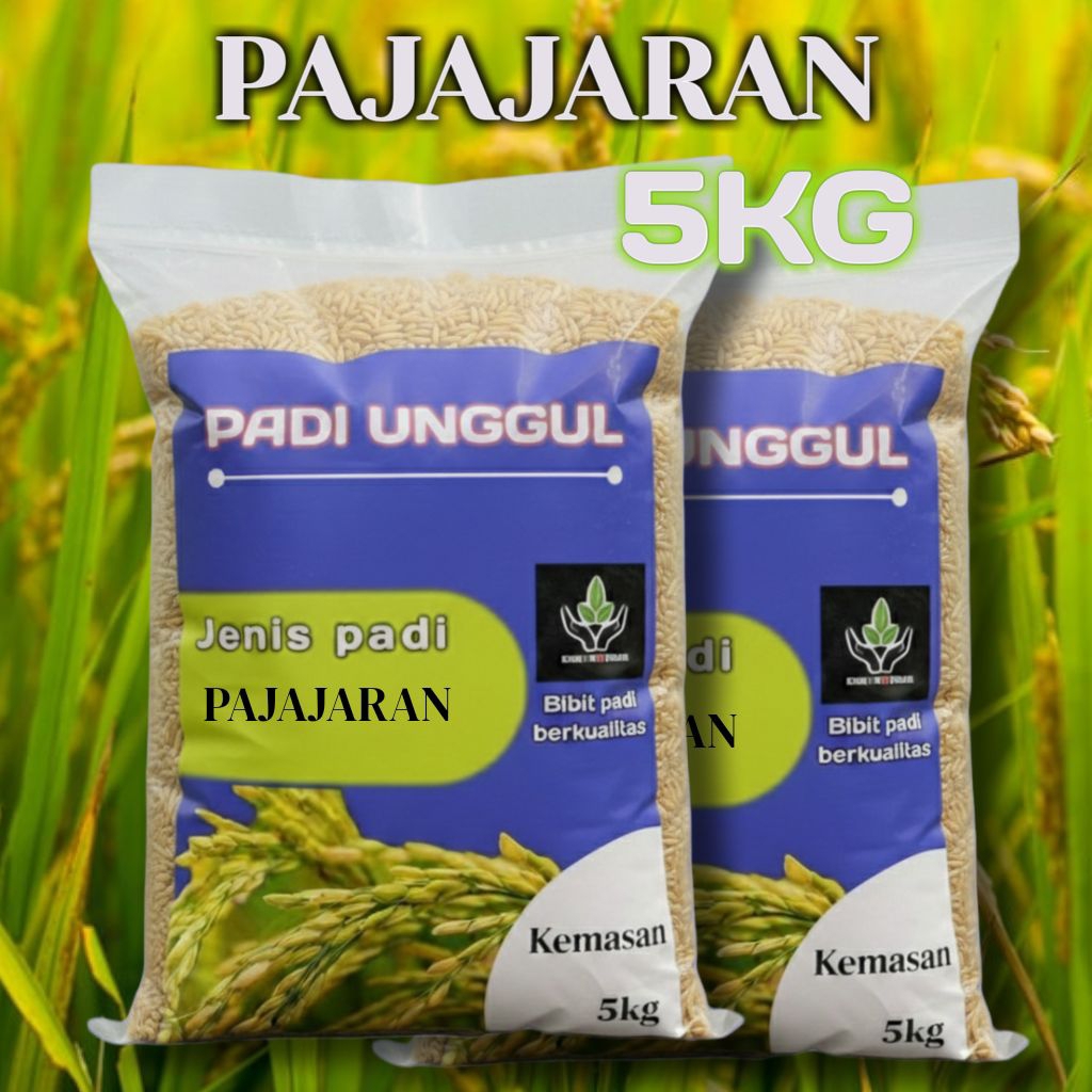 BIBIT PADI UNGGUL PAJAJARAN KUALITAS PREMIUM KEMASAN 5KG