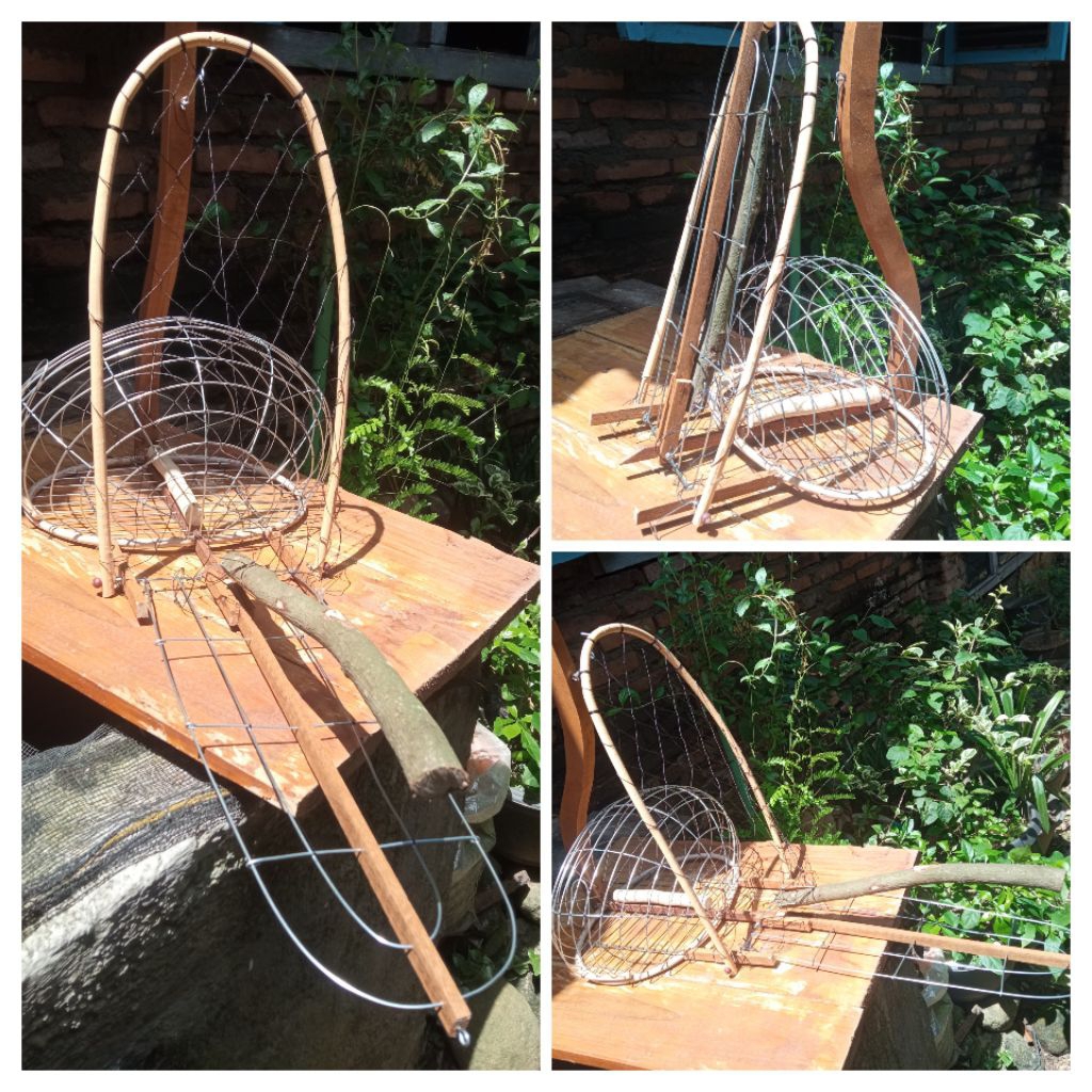 sangkar merbok/ jerat tekukur, perkutut