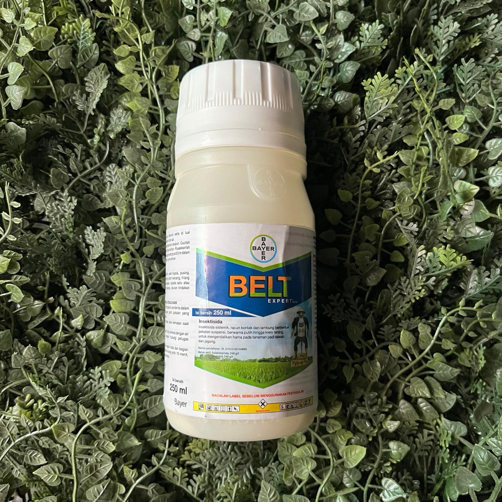 BELT EXPERT 480 SC 250ml - Insektisida