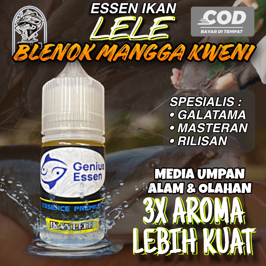 Essen Ikan Lele Galatama Essen Ikan Lele Amis Anyir Essen Ikan Lele Blenok Essen Ikan Lele Special I