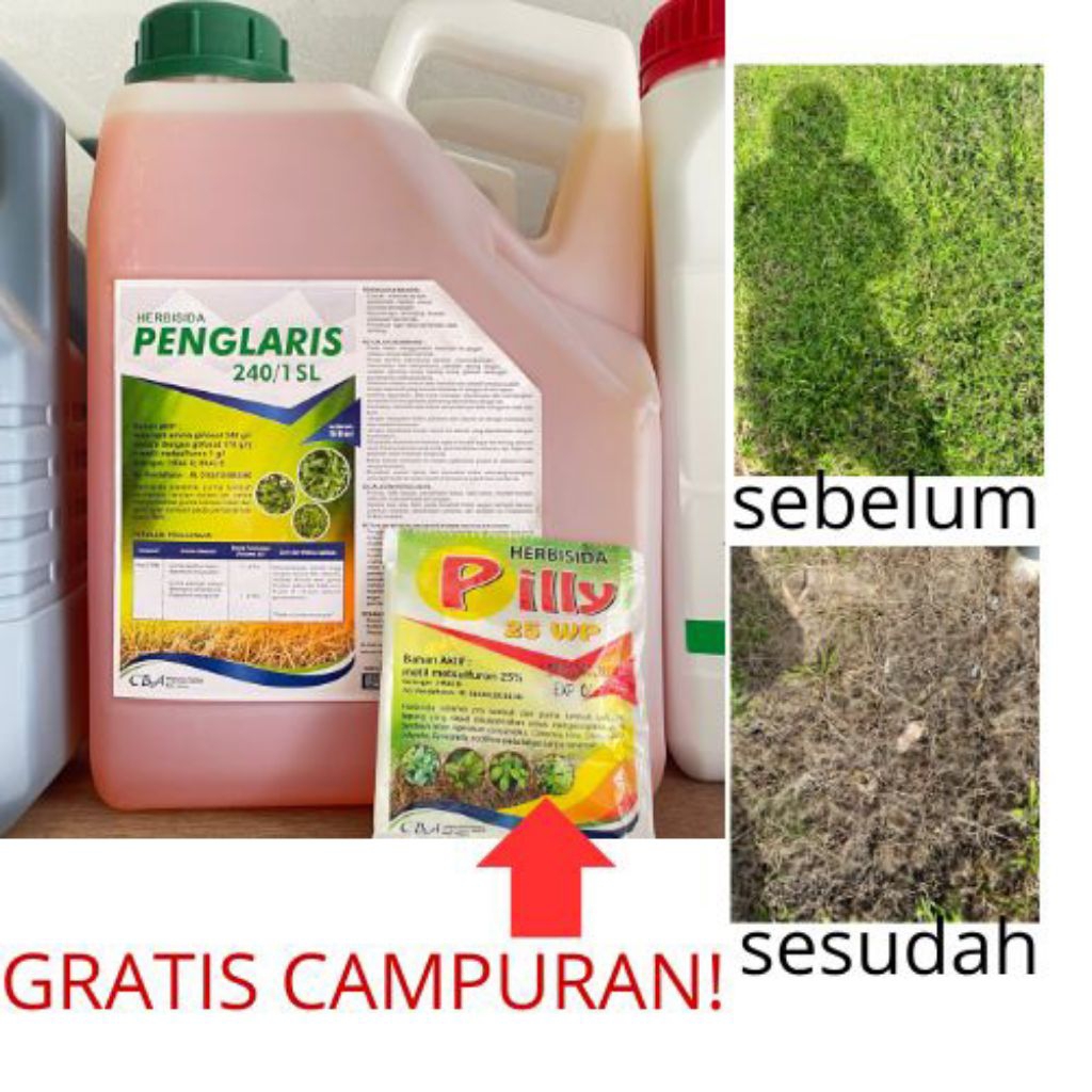 Herbisida Penglaris 240 SL @5Liter Pembasmi Gulma dan Rumput sampai Akar