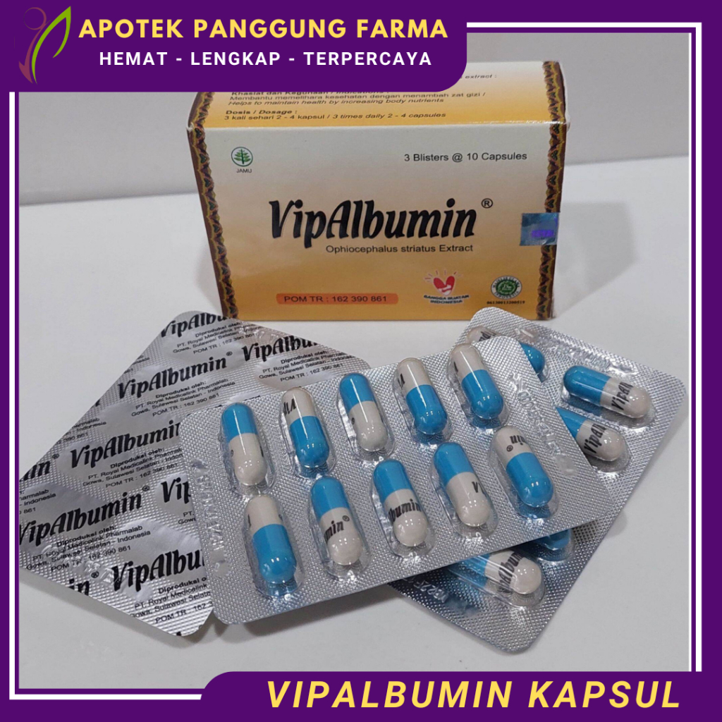 VIPALBUMIN KAPSUL EXTRACT IKAN GABUS