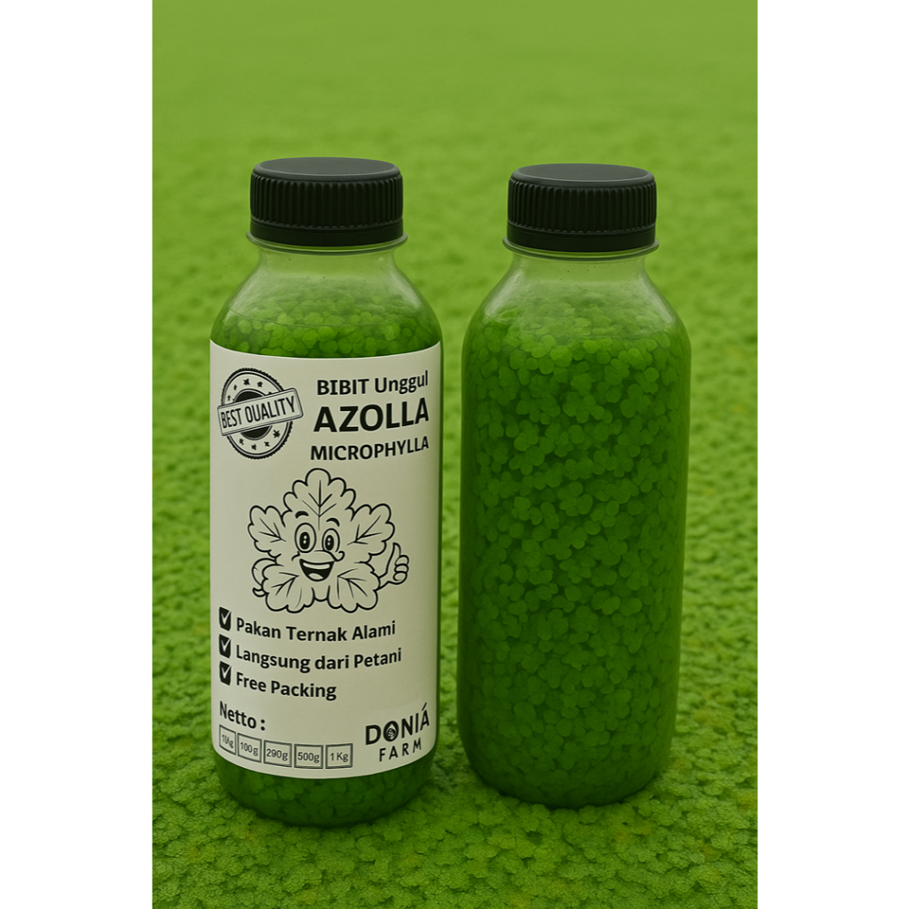 Bibit Azolla Siap Tebar | Pakan Ikan & Unggas, Cocok untuk Kolam & Sawah