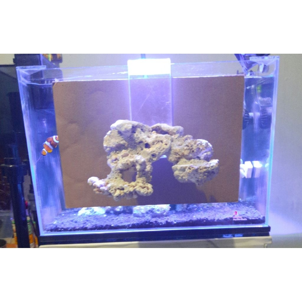scaping deadrock floating scape reeftank nano