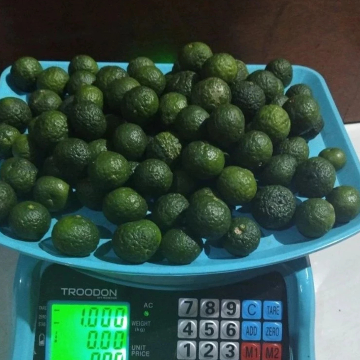 Jeruk limau 1/2 kg fresh | Jeruk limau 1/2 kg fresh