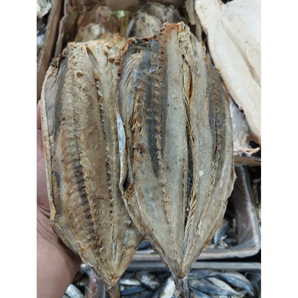 ikan asin tongkol batik super premium