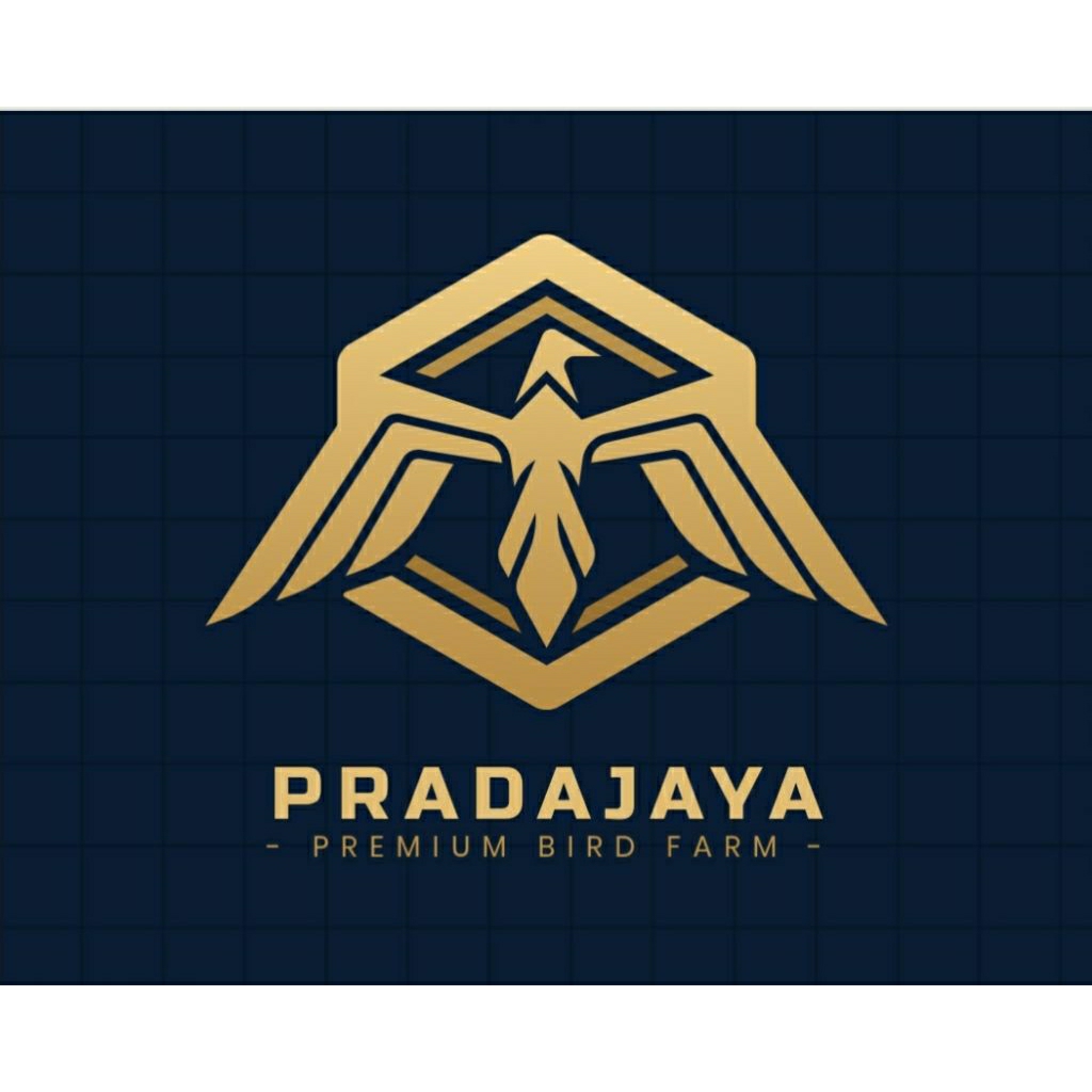 Merpati tinggi MT Bahan prospek tinggian Jantan/betina