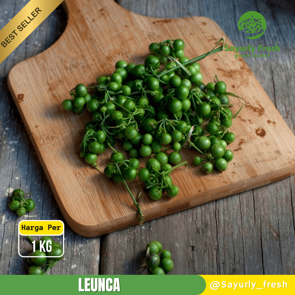Leunca 1Kg | Lenca | Tekokak | Sayurly Fresh