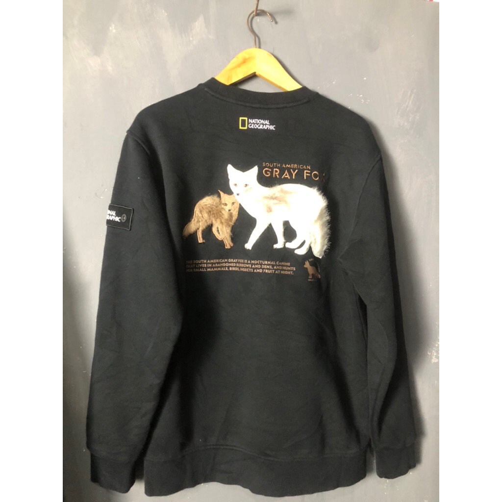 CREWNECK NATGEO  PACHT GREY FOX