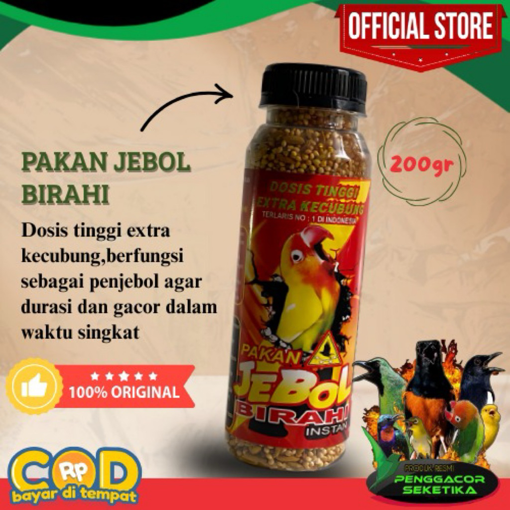 PAKAN JEBOL BIRAHI