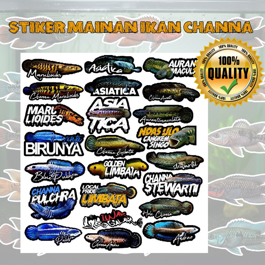 Mantulbee Sticker Stiker Aquarium Channa Snakehead ()