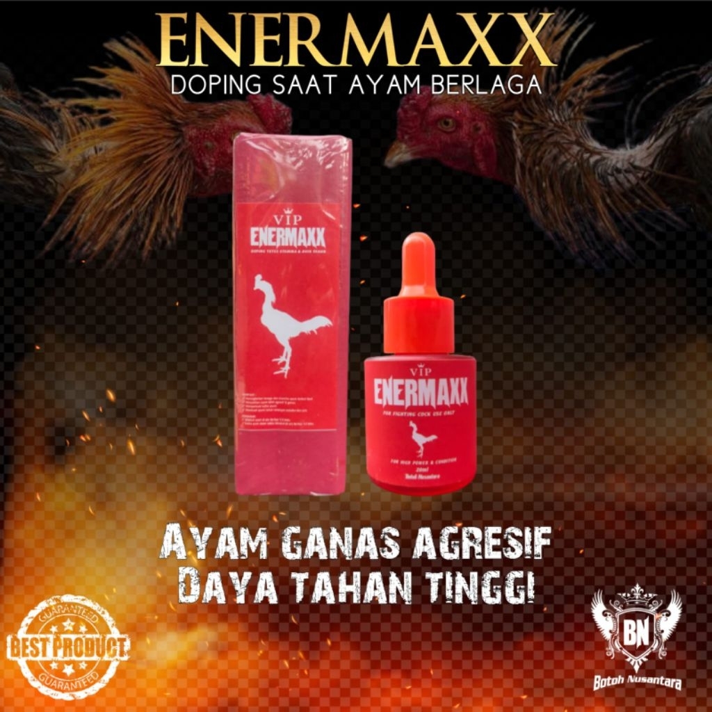 Doping ayam bangkok aduan ENERMAXX siap adu tarung agresif tahan pukul tenaga stamina nafas panjang