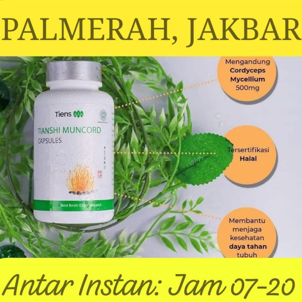 Muncord Capsules Tiens | Isi 100 Kapsul Segel Ori Tianshi | Dikirim dari Tiens Jakarta
