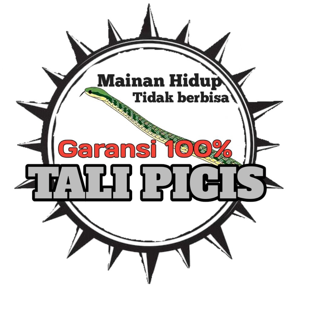 Mainan Hidup Tali picis aman untuk pemula