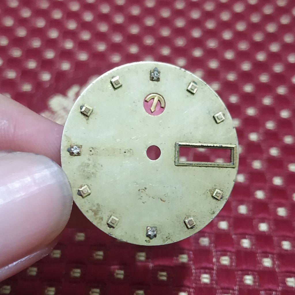 dial plate jam tangan pria rado