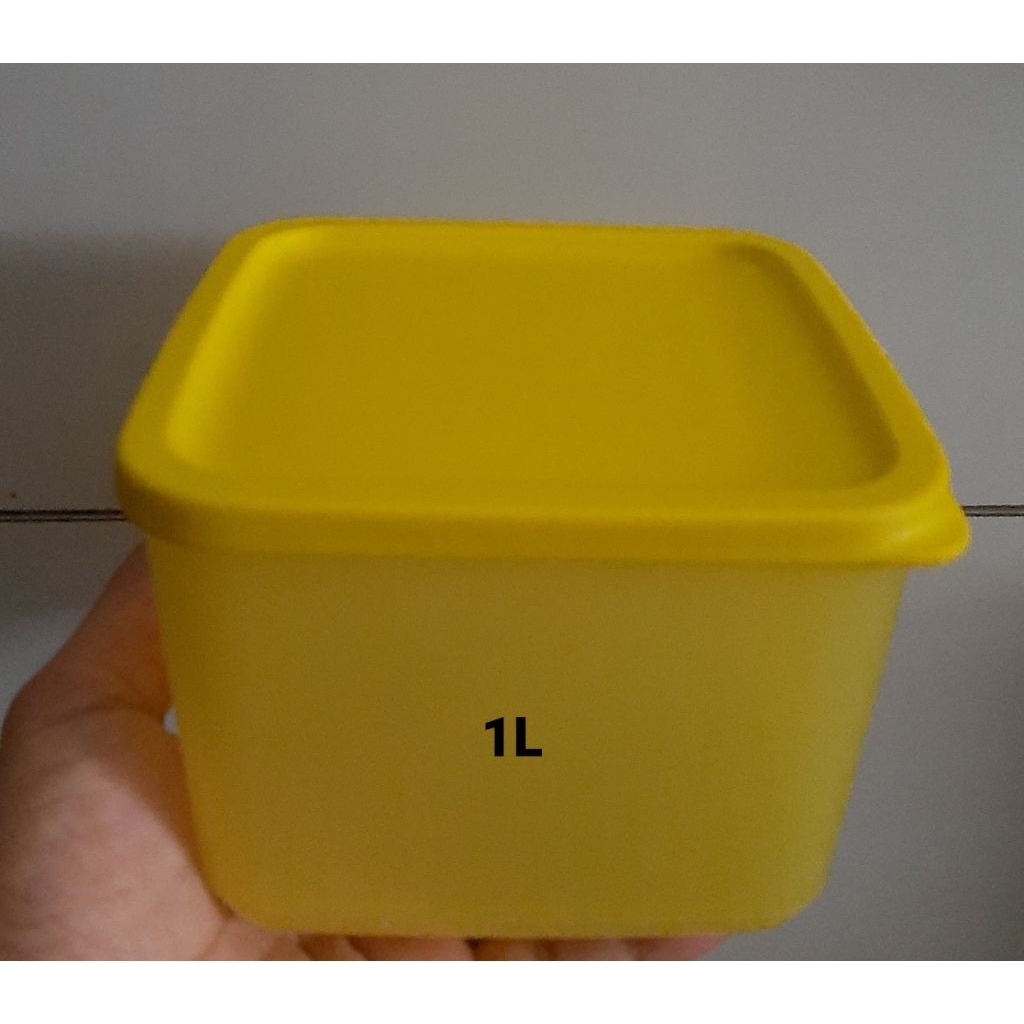 Small Summer Tupperware (1)