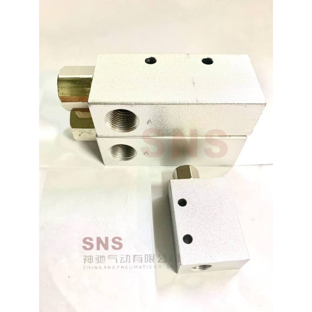 Pneumatic check valve SCV aks