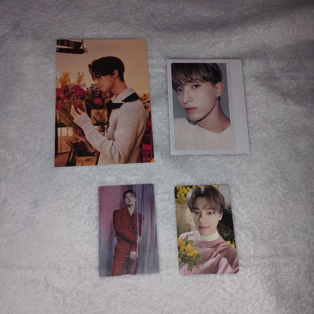 PC SEVENTEEN photocard trading card post card THE8 DK DINO YOUR CHOICE season's greeting power of lo