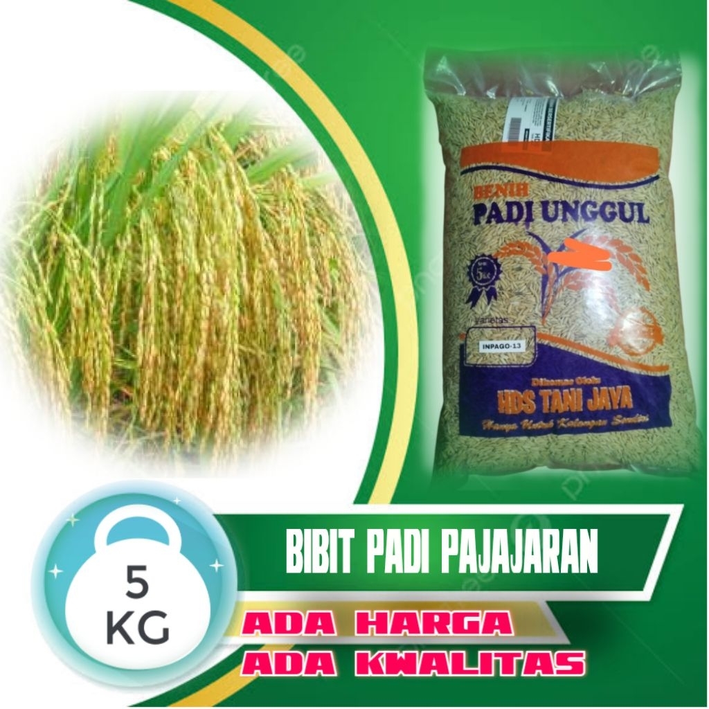 BIBIT PADI VARIETAS CIHERANG PAJAJARAN KEMASAN 5KG
