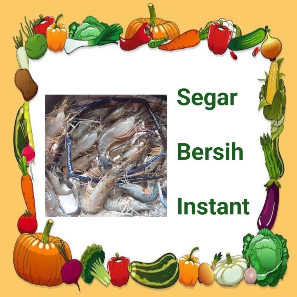 UDANG SATANG SEGAR - PALEMBANG