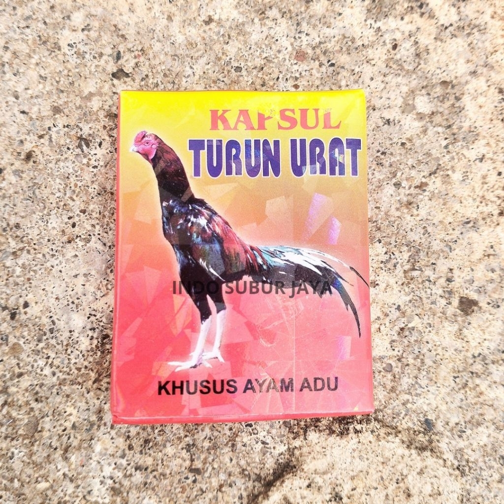 Turun Urat Isi 4 Kapsul Obat Ayam Atasi Bengkak Kaki Ayam