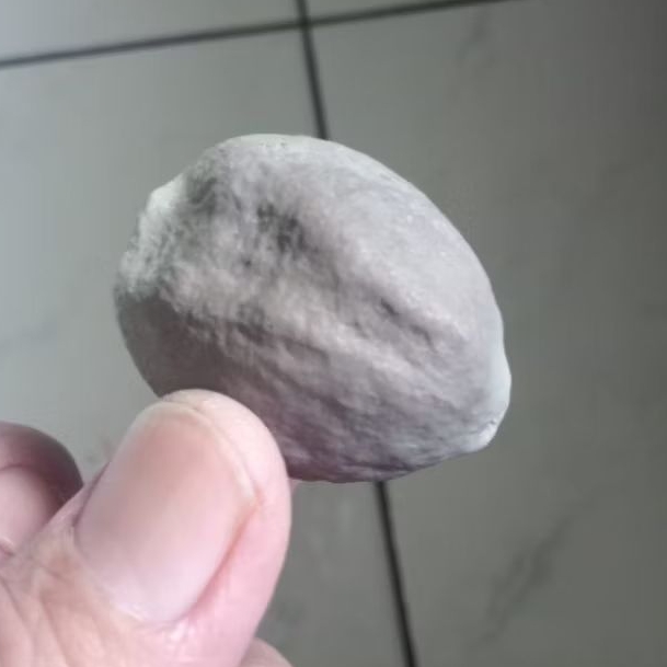 Kemiri Adu Muncang Adu LK Ori Rel Urat Dua Tua Jatuhan