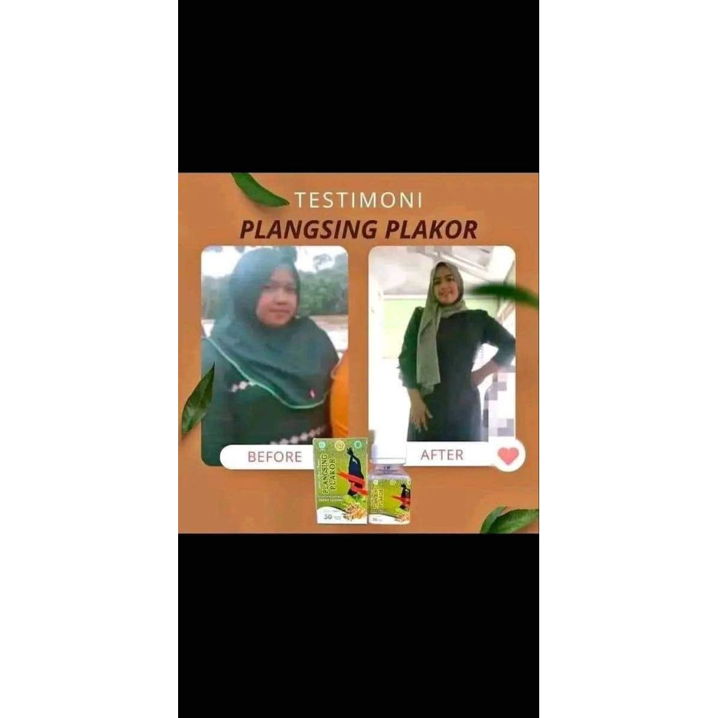 pelangsing pelakor