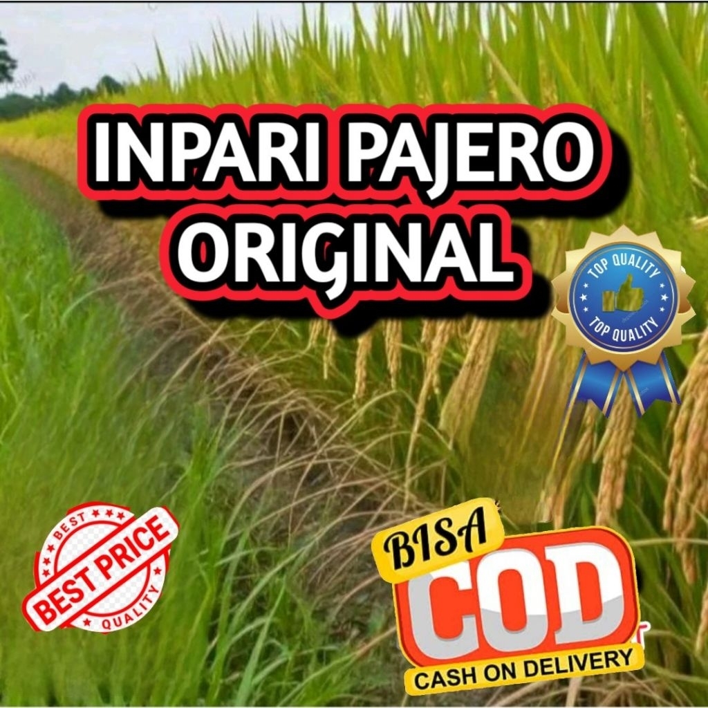 Benih Padi Ciherang Pajero Kemasan 5kg
