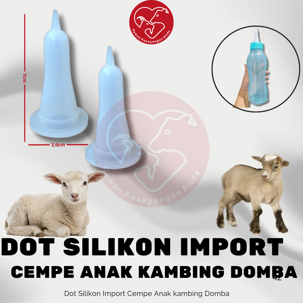 Dot Cempe Kambing Domba Grosir Bahan Silikon Import