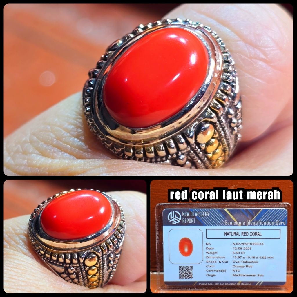 marjan merah coral super asli mediterranean laut merah