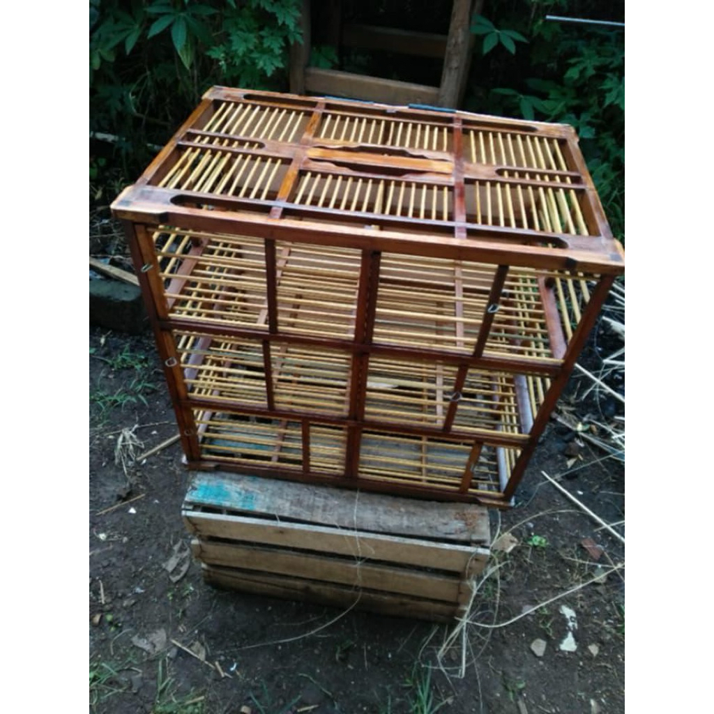 Dongdang Penerbang Merpati 6 pintu