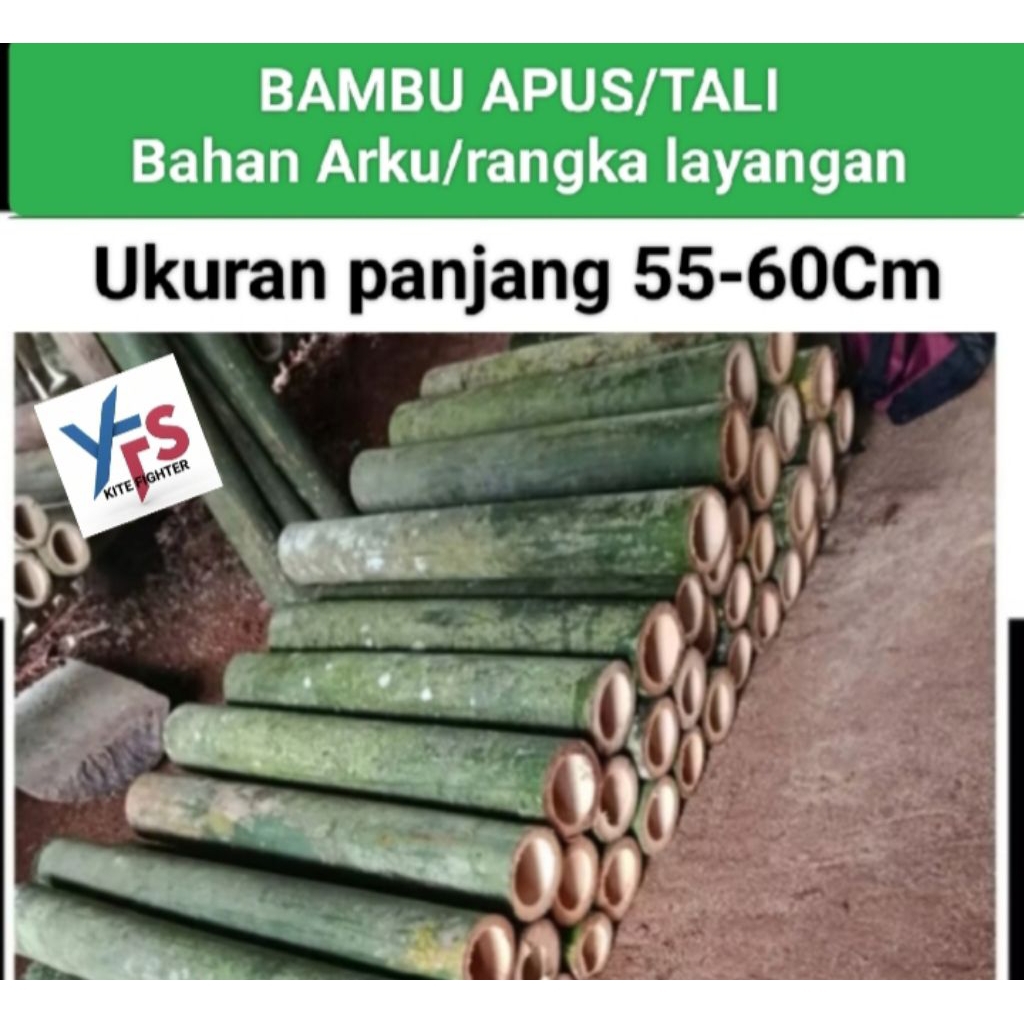 BAMBU APUS KUALITAS SUPER UNTUK ARKU/RANGKA LAYANGAN (harga untuk 1 glonggong panjang 55-60 cm)