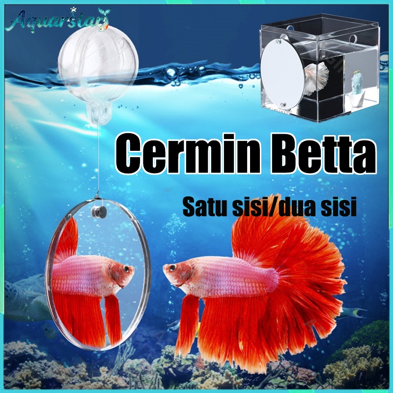 Cermin Ikan Cupang Akuarium Cermin Apung untuk Ikan Cupang Flowerhorn Pelatihan Cichlid
