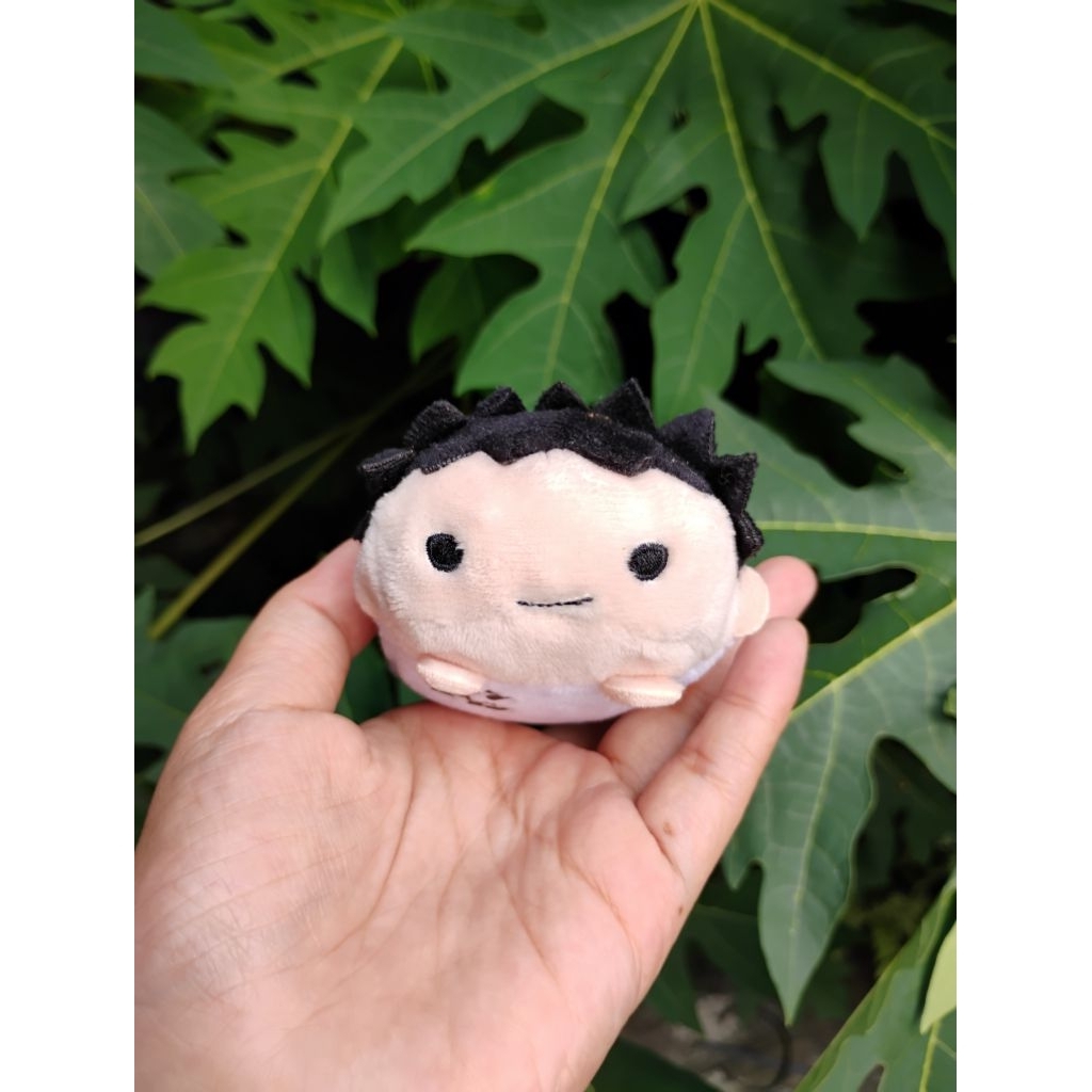 Haikyuu Noru Iwaizumi Hajime Aoba Johsai