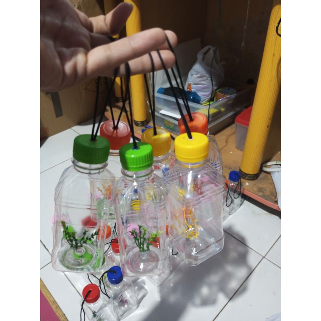 aquarium mini jenis botol ikan cupang 250ml