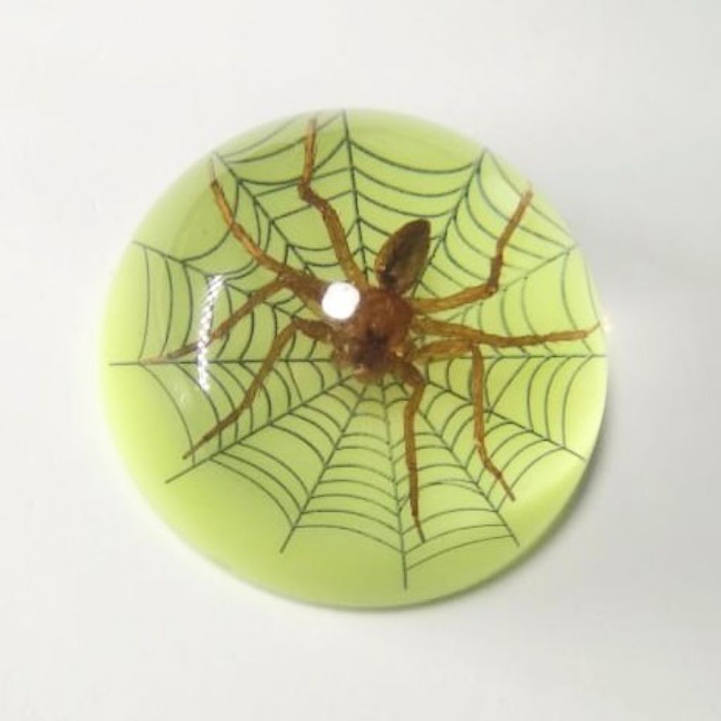 Kerajinan resin serangga laba-laba