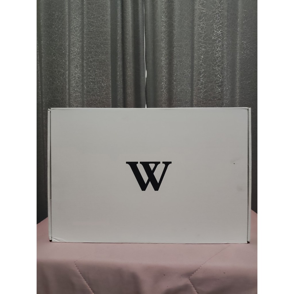 1/100 MG MJH HIRM Wing Zero EW W