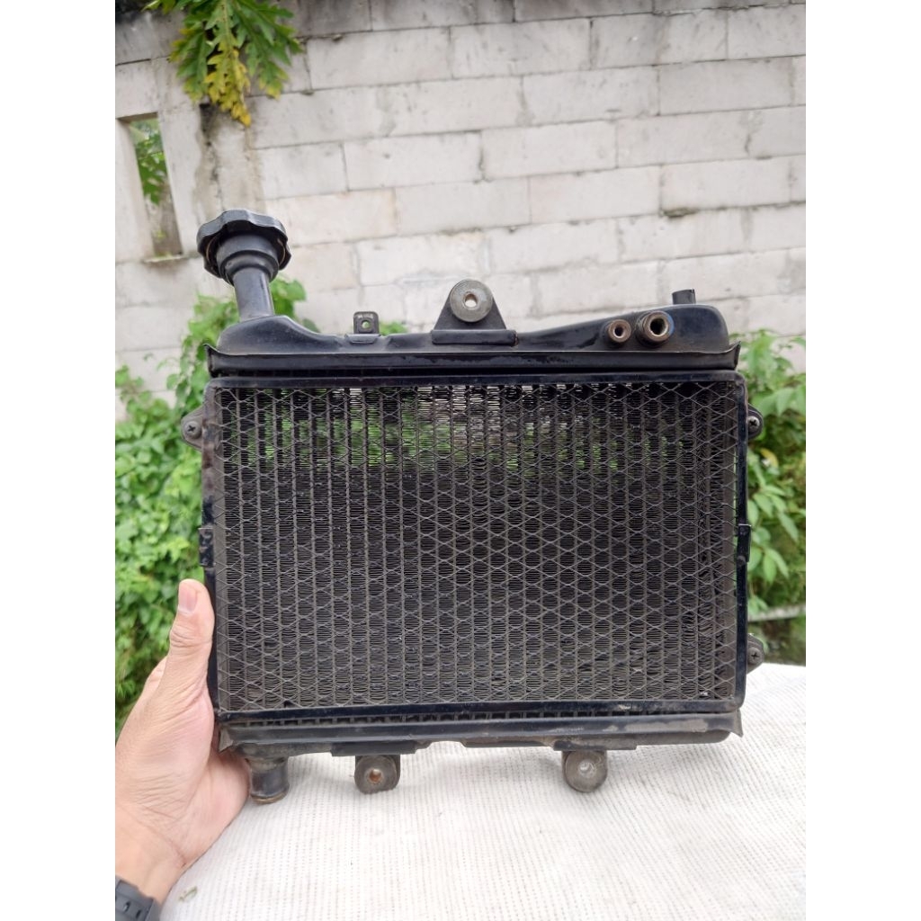 Radiator Ninja RR Copotan