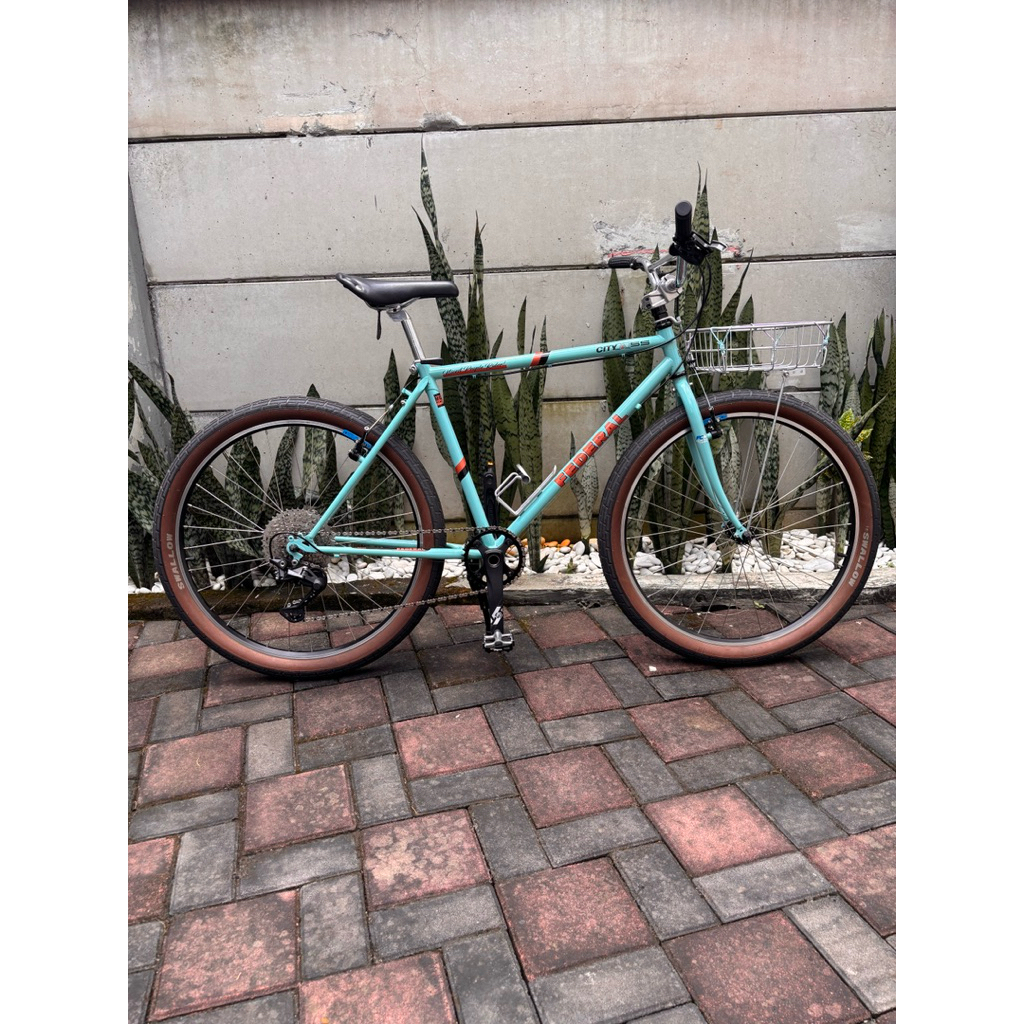 SepedaFederalCityCatSS