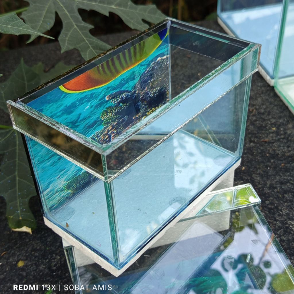 AQUARIUM CUPANG KECIL imut imut , 15 x 10 x 10 lis begron , kaca tebal MIX